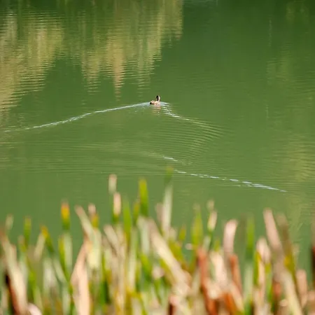 Viktoria - Viktoria 2 Ruzomberok