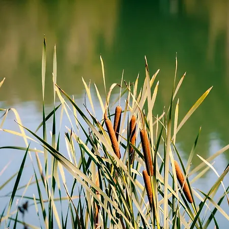 Viktoria - Viktoria 2 Ruzomberok